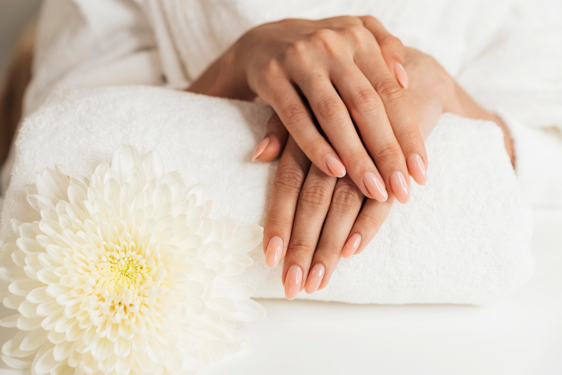 Mains soignées avec une manucure naturelle posées sur une serviette blanche à côté d'une fleur